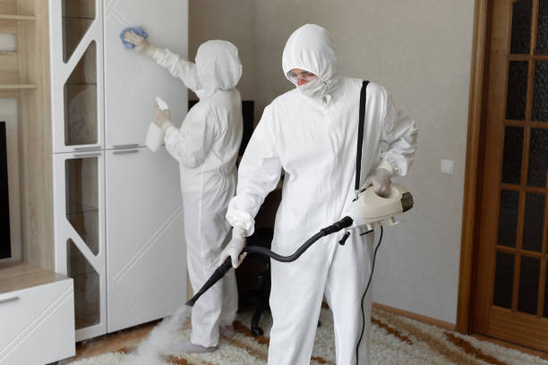 Trusted Sewage Cleanup service in Milledgeville, OH - Four Month Blood Cleanse